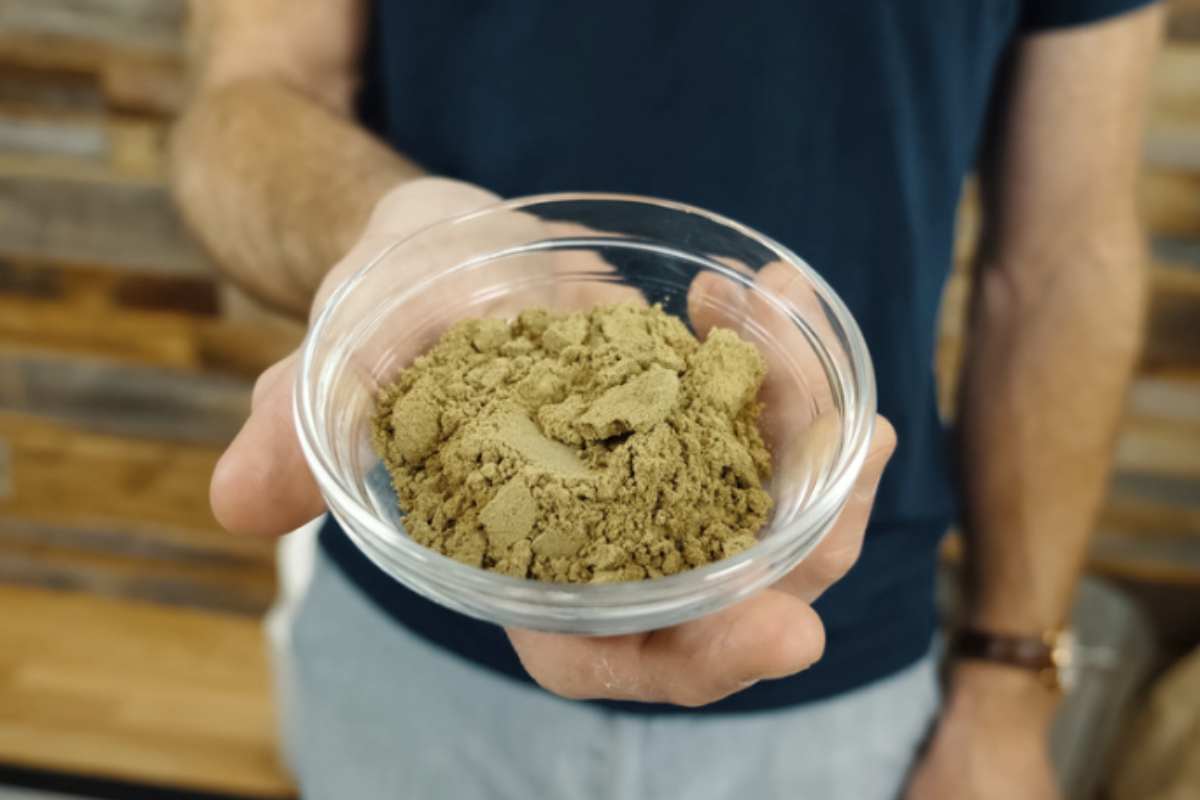 l lievito di birra non è solo un ingrediente indispensabile per la cucina