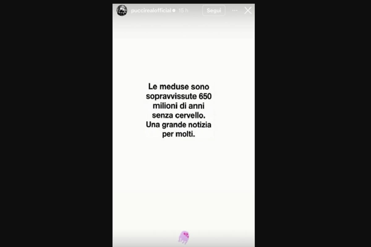 la replica di andrea pucci a selvaggia lucarelli